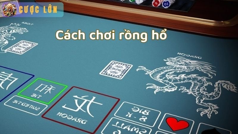 Cách chơi rồng hổ