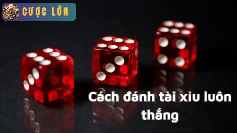 Cách đánh tài xỉu luôn thắng