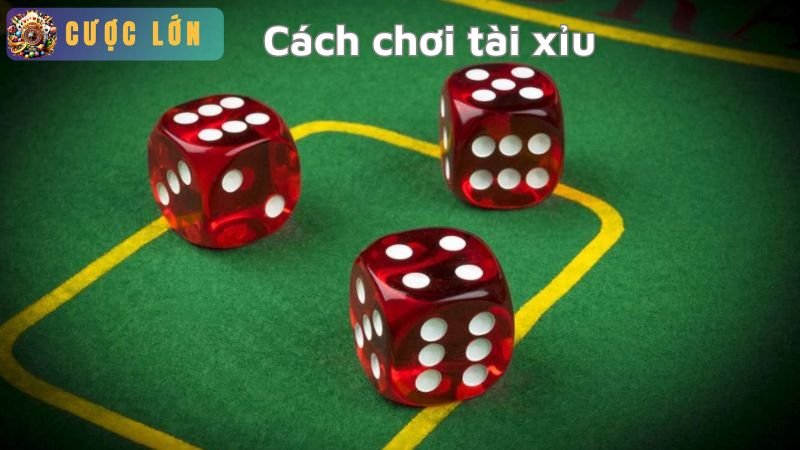 Cách chơi tài xỉu và một số mẹo chơi tài xỉu luôn thắng