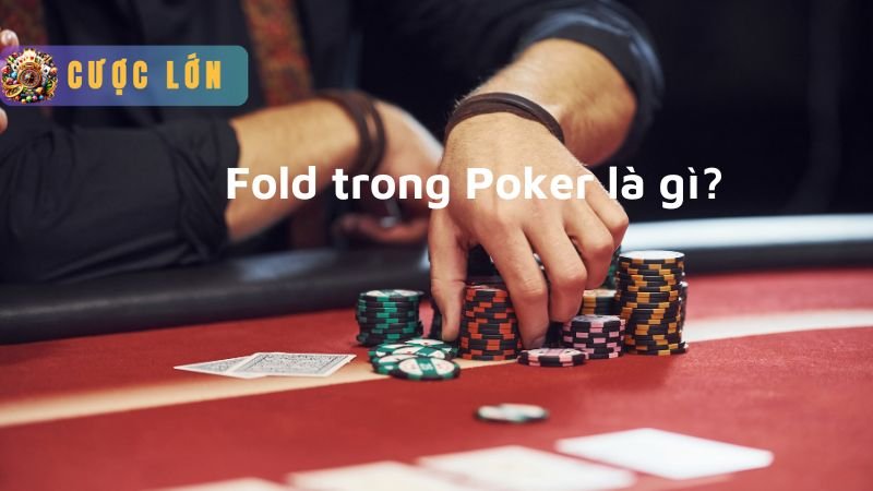 Fold trong Poker là gì?