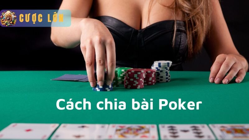 Cách chia bài trong Poker