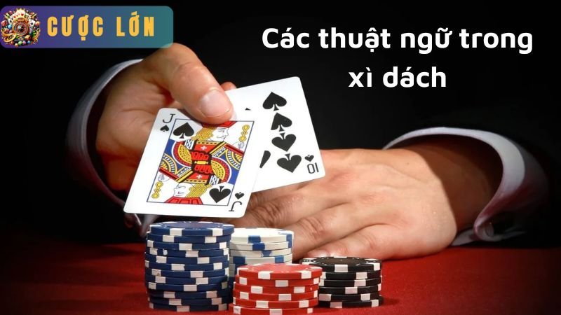 Thuật ngữ trong xì dách