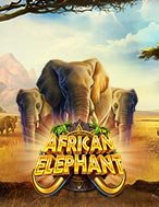 Voi Rừng Châu Phi – African Elephant Slot: Hướng Dẫn Chi Tiết Để Thắng Lớn và Giành Jackpot!