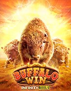 Cách Chinh Phục Cuộc Chiến Hoang Dã – Buffalo Win Slot: Chiến Lược và Hướng Dẫn