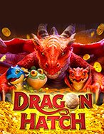 Kho Báu Rồng – Dragon Hatch Slot: Hướng Dẫn Đầy Đủ Từ A đến Z Cho Người Mới