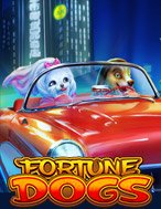 Chơi Fortune Dogs Slot Ngay Hôm Nay – Phiêu Lưu Đến Thế Giới Kỳ Diệu!