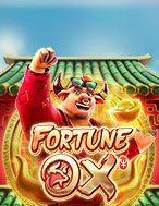 Vận May Tân Sửu – Fortune Ox Slot: Hướng Dẫn Đầy Đủ Từ A đến Z Cho Người Mới