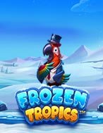 Mùa Đông Nhiệt Đới – Frozen Tropics Slot: Hướng Dẫn Đầy Đủ Từ A đến Z Cho Người Mới