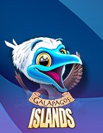 Chơi Galapagos Islands Slot Ngay Hôm Nay – Phiêu Lưu Đến Thế Giới Kỳ Diệu!