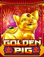 Cách Chinh Phục Chú Lợn Vàng – Golden Pig Slot: Chiến Lược và Hướng Dẫn