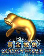 Golden Whale Slot: Hướng Dẫn Đầy Đủ Từ A đến Z Cho Người Mới