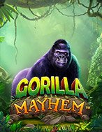 Bầy Khỉ Hỗn Loạn – Gorilla Mayhem Slot: Hướng Dẫn Đầy Đủ Từ A đến Z Cho Người Mới