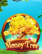 Money Tree Slot: Hướng Dẫn Đầy Đủ Từ A đến Z Cho Người Mới