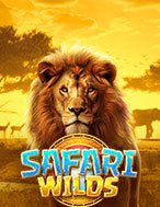 Khám Phá Mãnh Thú Vương – Safari Wilds Slot: Trải Nghiệm Game Slot Huyền Bí