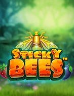 Khám Phá Bầy Ong Vàng Vi Diệu – Sticky Bees Slot: Trải Nghiệm Game Slot Huyền Bí