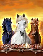 Đánh Giá Storm Rider Slot: Kỳ Quan Game Slot Mới Nhất