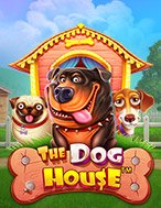 Đánh Giá Thế Giới Cún Cưng – The Dog House Slot: Kỳ Quan Game Slot Mới Nhất