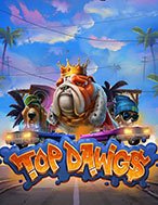 Top Dawg$ Slot: Hướng Dẫn Chi Tiết Để Thắng Lớn và Giành Jackpot!