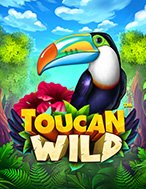 Toucan Wild Slot: Hướng Dẫn Đầy Đủ Từ A đến Z Cho Người Mới