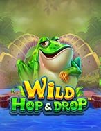 Khu Vườn Ếch – Wild Hop & Drop Slot: Hướng Dẫn Chi Tiết Để Thắng Lớn và Giành Jackpot!